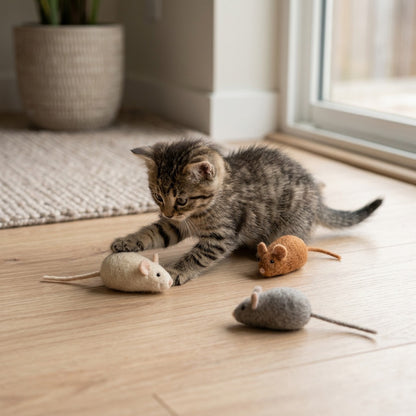 Trío de Ratones de Lana para gato — en uso — Mora & Bigotes